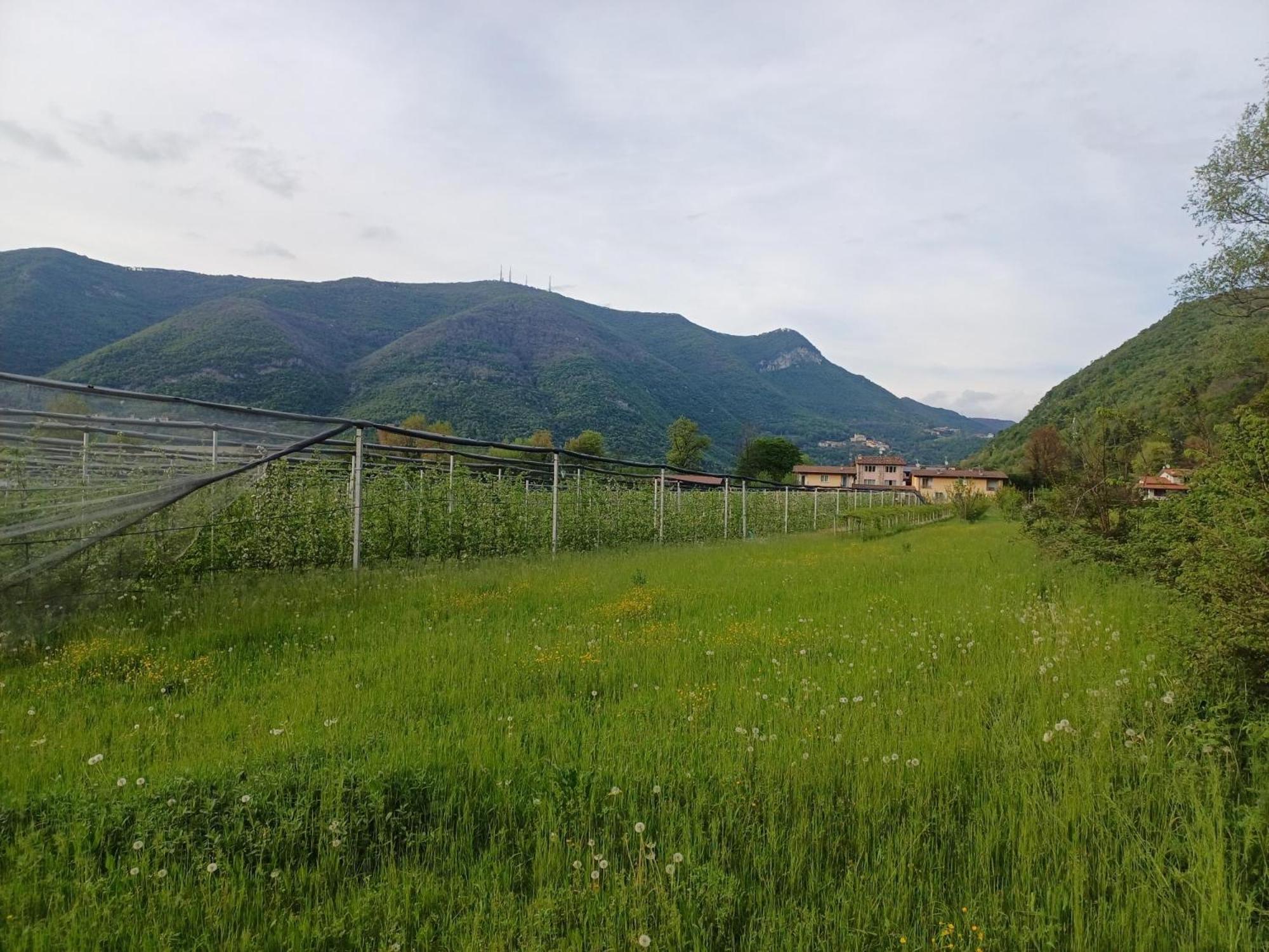 Ferienwohnung Cascina Legnago Bilocale A 6 Chilometri Da Salo' Villanuova sul clisi Exterior foto